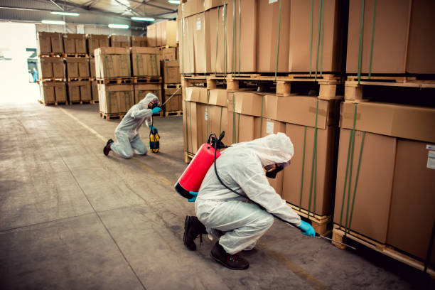 Best Pest Control Near Me in North Manchester, IN