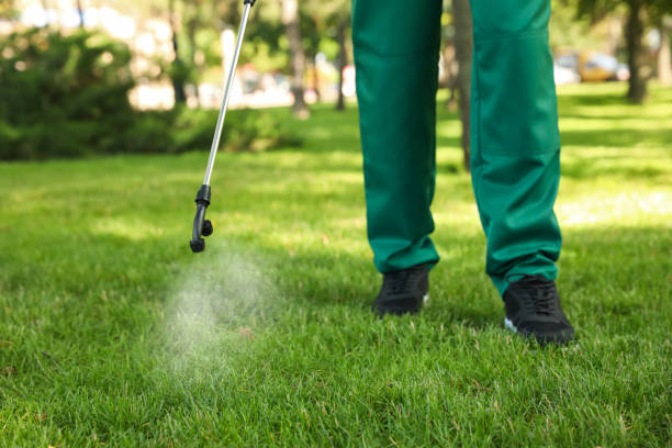 Best Local Pest Control Services  in North Manchester, IN