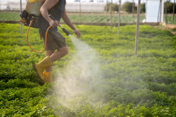 Best Commercial Pest Control Services  in North Manchester, IN