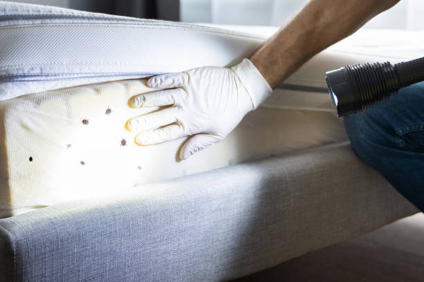 Trusted North Manchester, IN Pest Control Experts