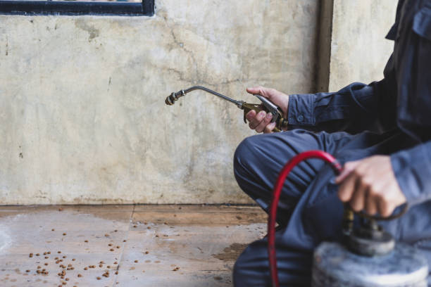 Best Pest Prevention Services  in North Manchester, IN